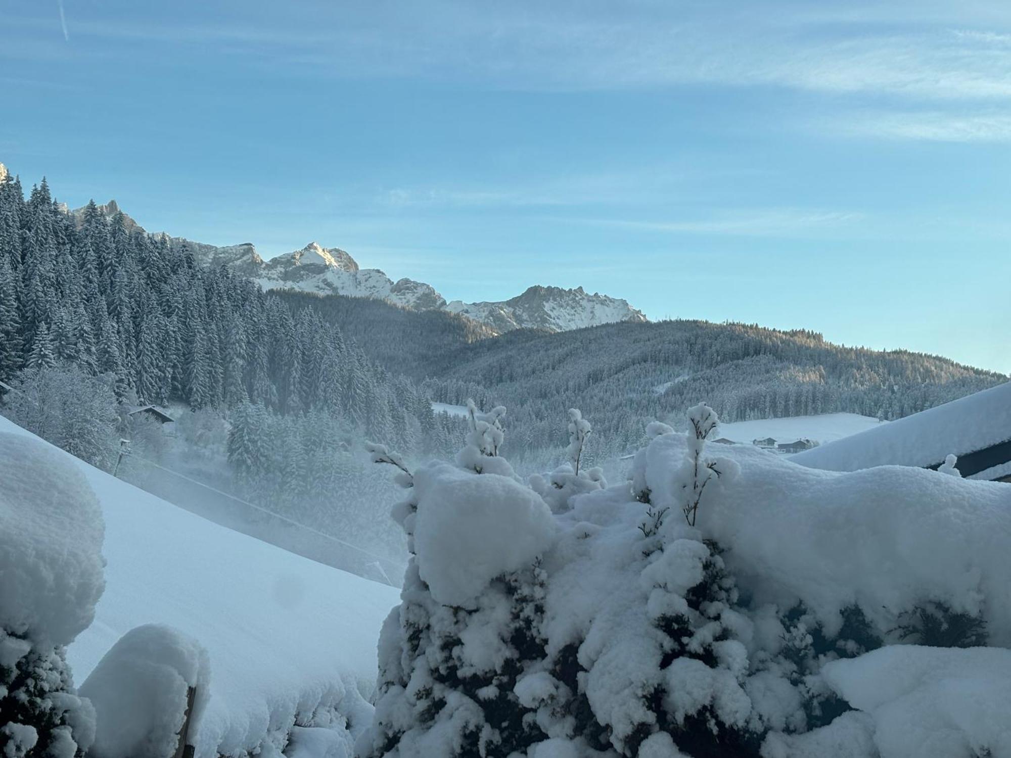 Grossbergblick Apartment Filzmoos Bagian luar foto