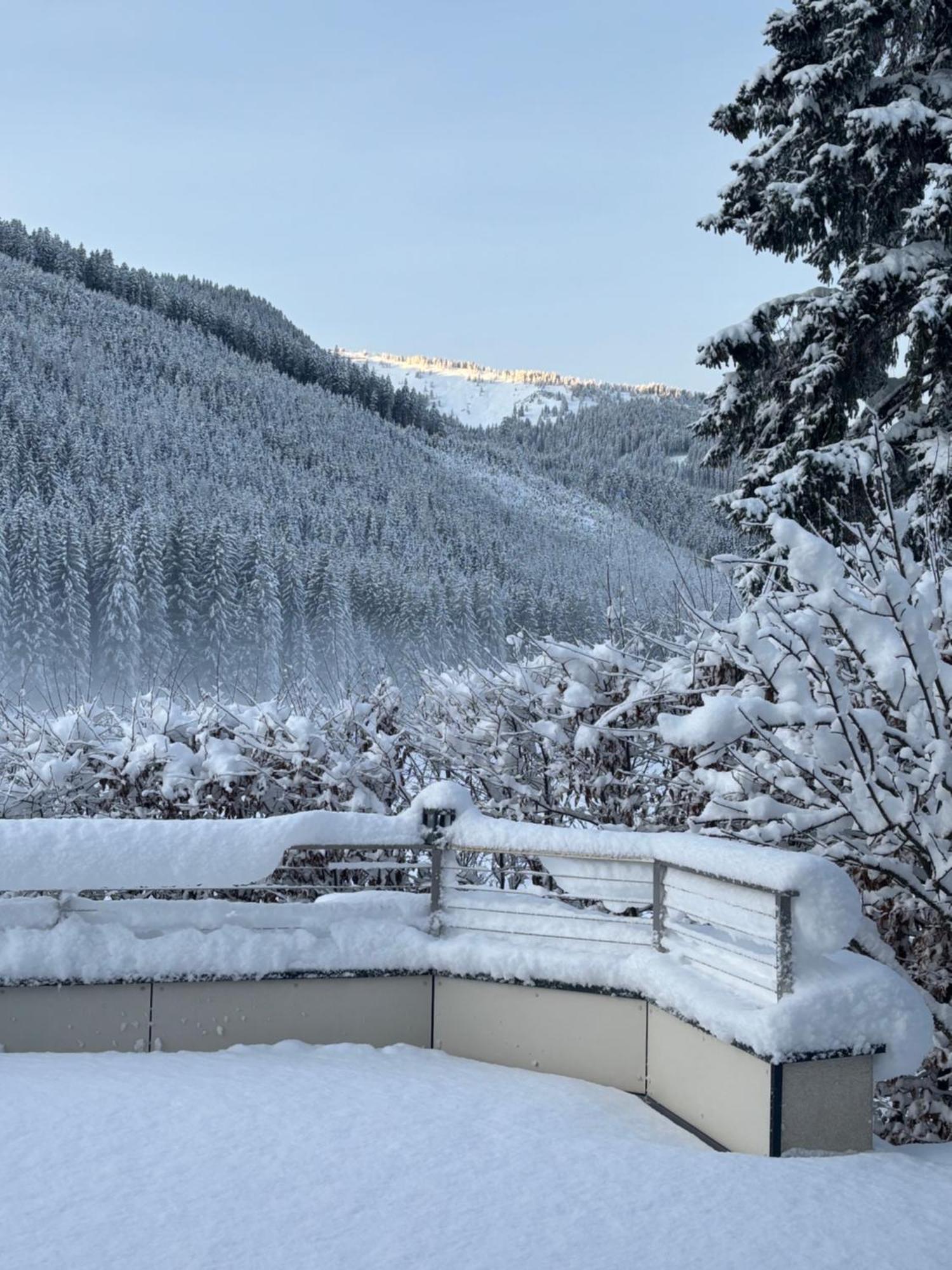 Grossbergblick Apartment Filzmoos Bagian luar foto